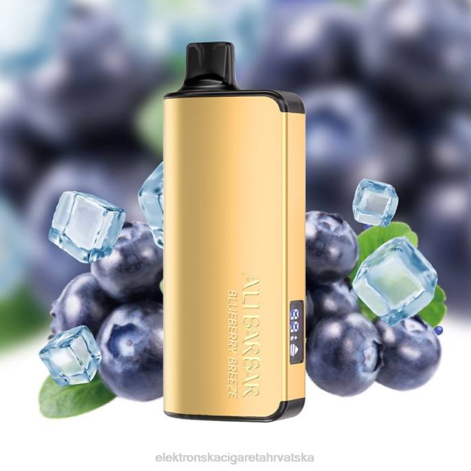 E Cigareta Tekućina - Alibarbar Ingot 20000 vape za jednokratnu upotrebu borovnica povjetarac 02XP32