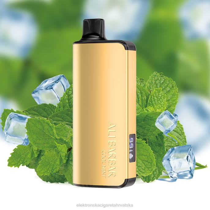 Jednokratni Vape Hrvatska - Alibarbar Ingot 9000 vape za jednokratnu upotrebu hladna menta 02XP18