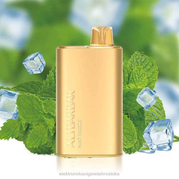 E Cigareta Tekućina - Alibarbar Rich 8000 jednokratnih vapea mint povjetarac 02XP8