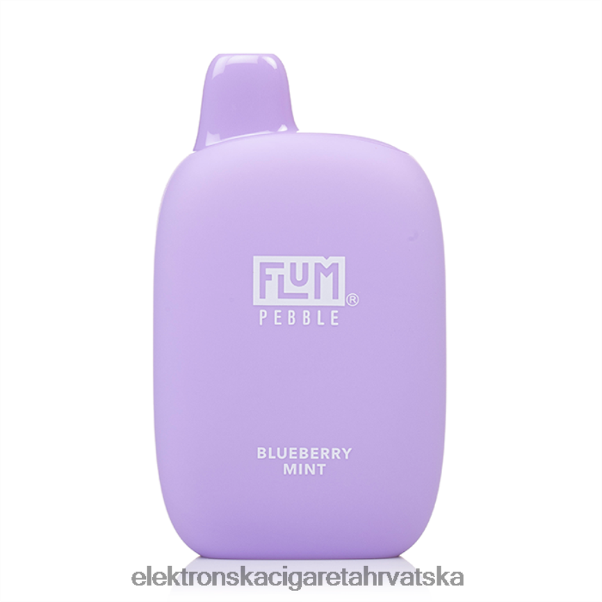 E Cigareta Cijena - FLUM PEBBLES 6000 udaha borovnica menta LP62R223