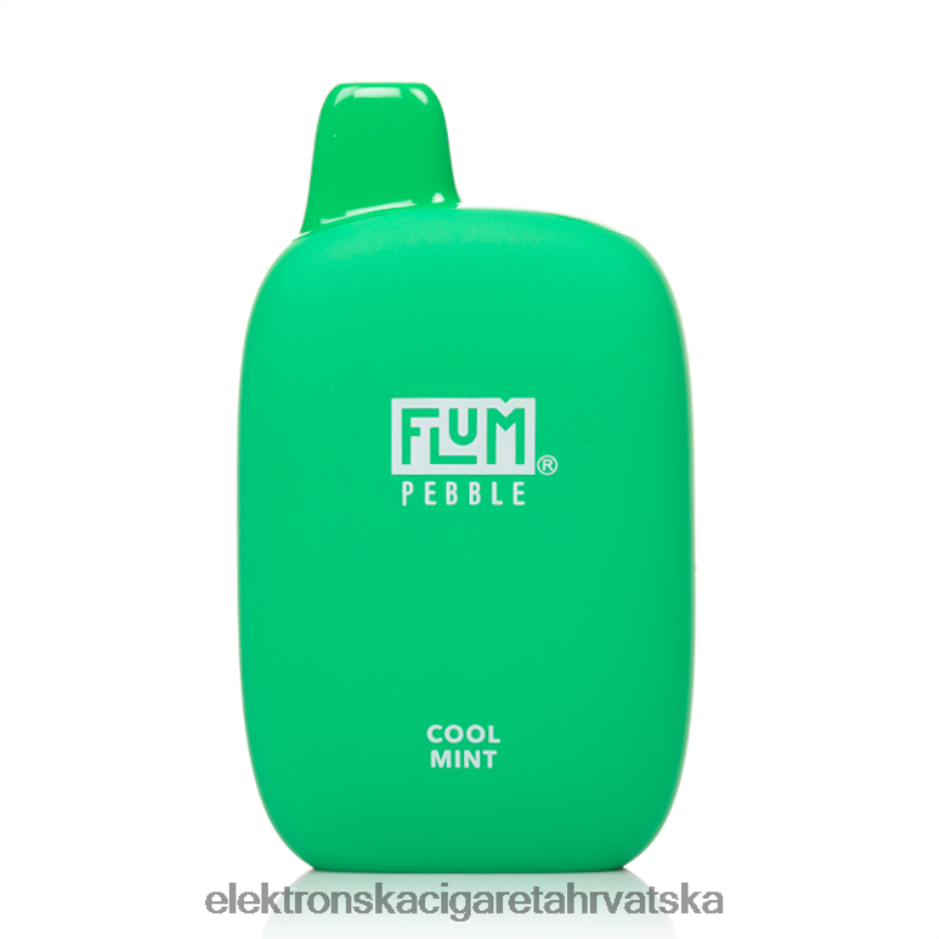 Elektronska Cigareta Petrol - FLUM PEBBLES 6000 udaha hladna menta LP62R226