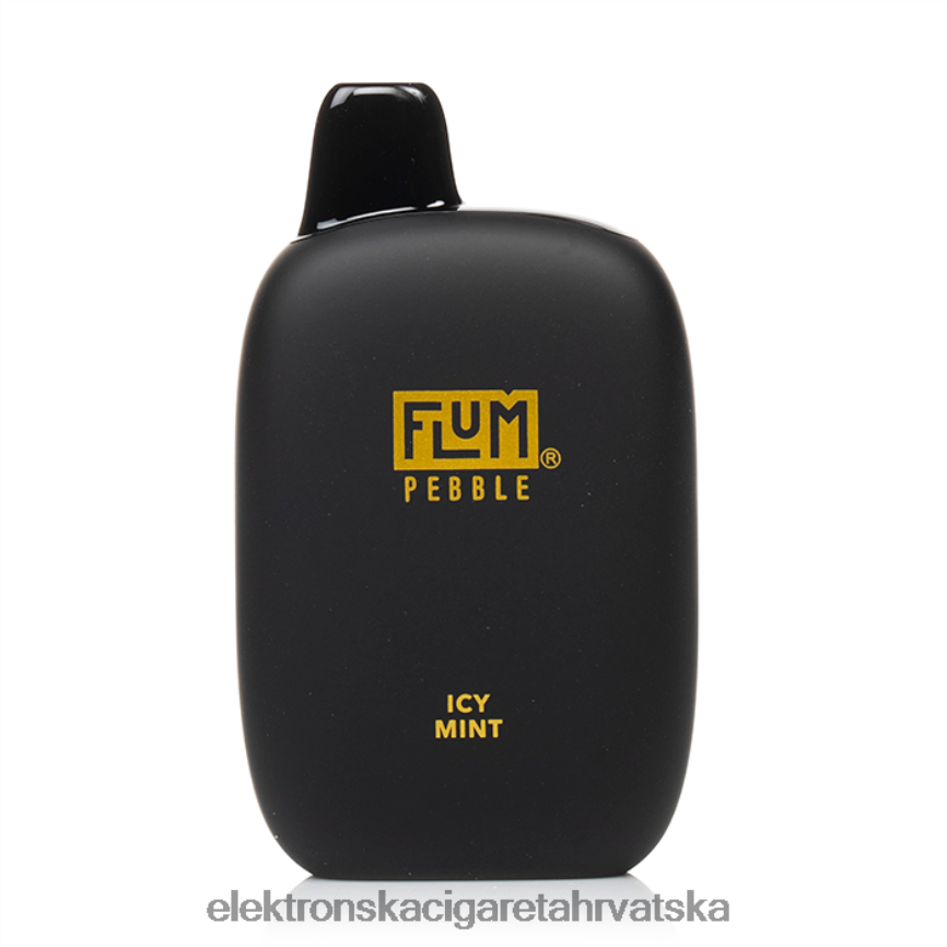 Jednokratni Vape Hrvatska - FLUM PEBBLES 6000 udaha ledena metvica LP62R230