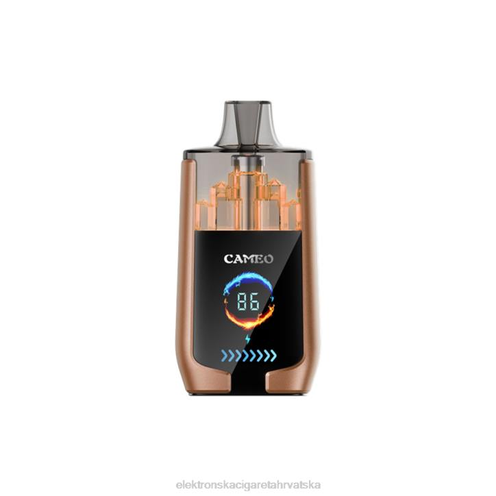 Jednokratni Vape Hrvatska - led od kave LAVIE CAMEO 30000 udaha 6F8X18